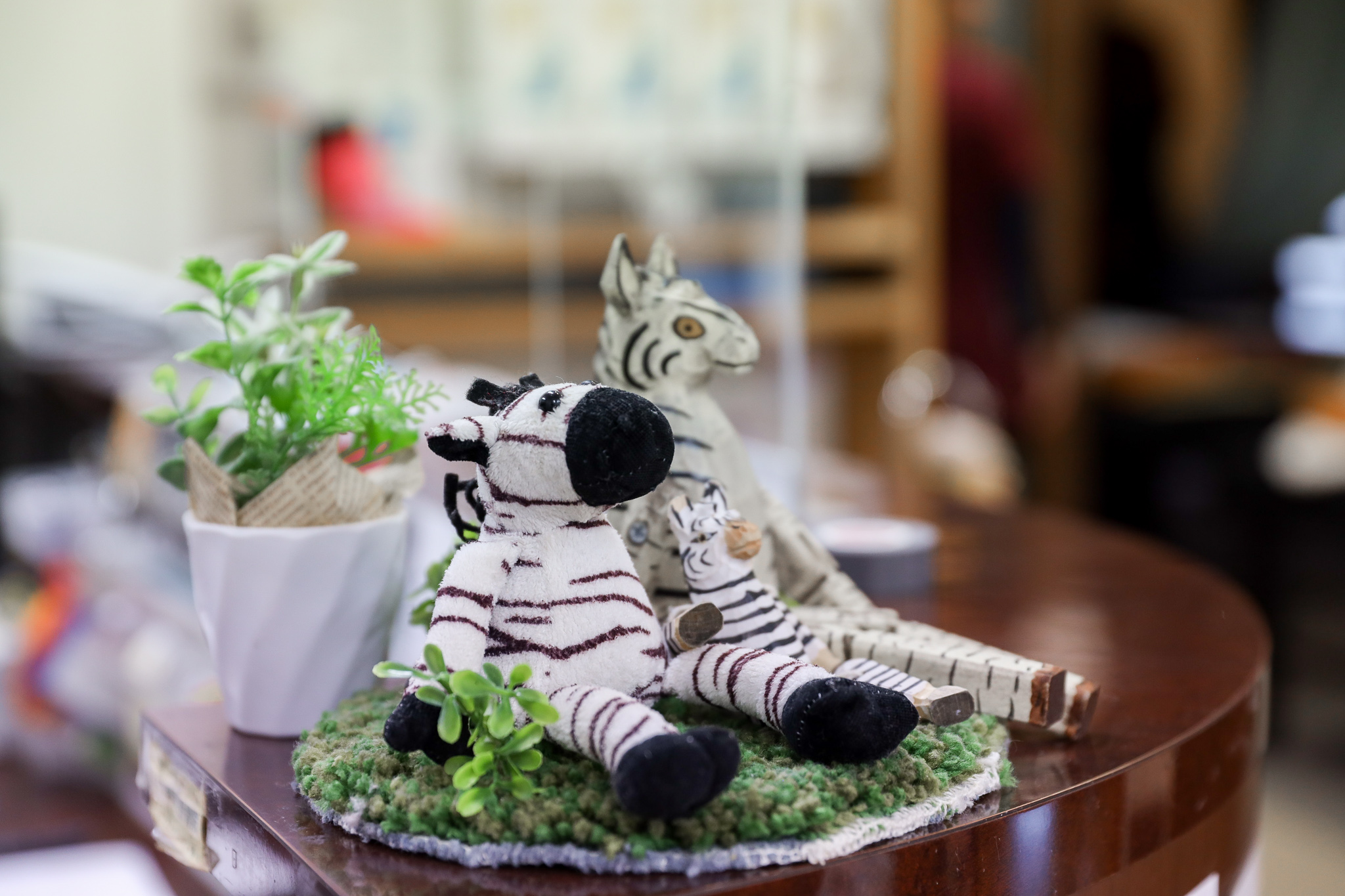 しまうま針灸接骨院